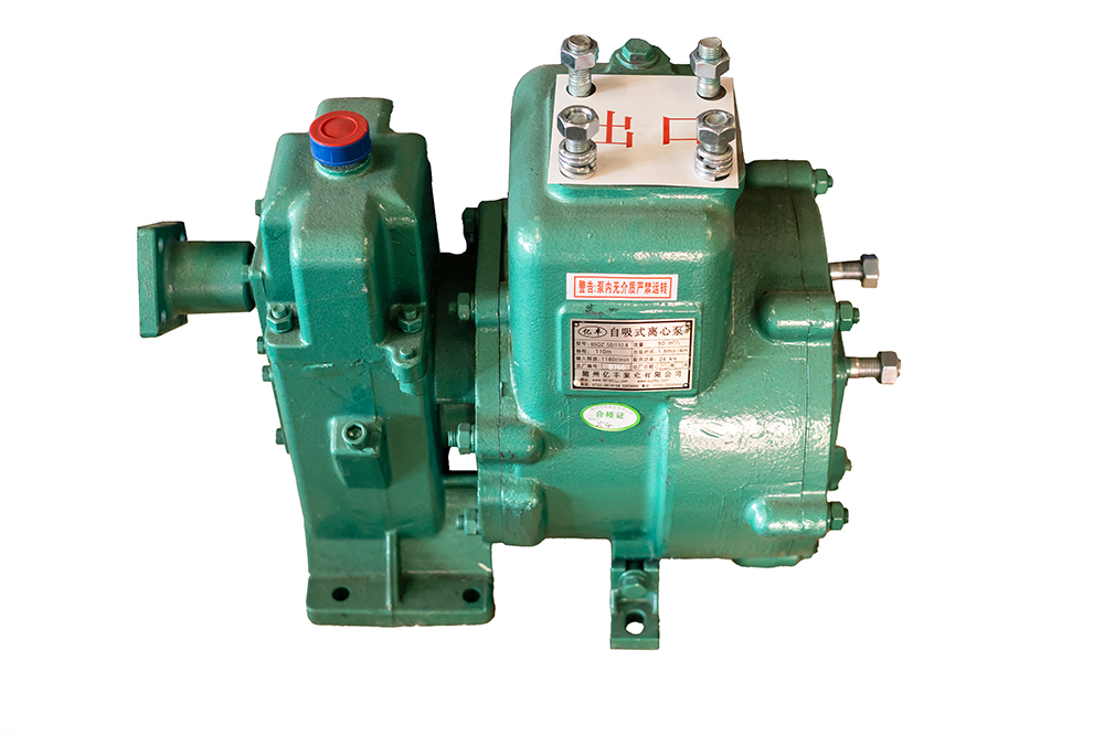 水泵65QZ50-110N(S)